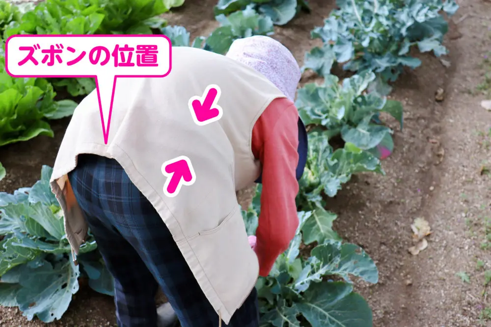 洋裁教室や独学での服作りに挫折した人へ 洋裁を自宅で学べる365回講座 ずぼらでもパリコレ作品が縫えるヒミツ